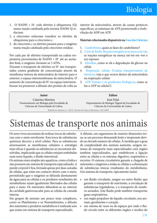 Biologia
1.	 O NADH + H+ cede eletrões à ubiquinona (Q)
numa reação catalisada pela enzima NADH-Q reductase.
2.	 a citocromo reductase transfere os eletrões da
ubiquinona para o citocromo c.
3.	 do citocromo c os eletrões passam para o oxigénio
numa reação catalisada pela citocromo oxidase.

interior da mitocôndria, através de canais proteicos
específicos, as sintetases de ATP, promovendo a fosforilação do ADP em ATP.
Materiais relacionados disponíveis na Casa das Ciências:

1.	 Catabolismo, quais as fases do catabolismo?
2.	 Ciclo de Krebs: Reações energéticas na mosca tsé-tsé,
Por cada par de eletrões transportado na cadeia resas reações energéticas na mosca tsé-tsé em voo e
piratória provenientes de NADH + H+ até ao aceitaem repouso
dor final, o oxigénio, formam-se 3 ATPs.
3.	 Glicólise, como se dá a degradação da glicose na
Durante o transporte de eletrões os H+ são transporcélula
tados contra gradiente de concentração através da 4.	 Respiração celular (Cadeia transportadora de
eletrões), veja o que ocorre dentro da mitocôndria
membrana interna da mitocôndria do interior para o
na respiração celular
exterior, o espaço intermembranar da mitocôndria. O
+
aumento de concentração de H no espaço intermem- 5.	 ATP Sintase e os gradientes biológicos, como se
faz o ATP na célula(!)
branar irá promover a difusão dos protões de volta ao
Autor
Catarina Moreira

Doutoramento em Biologia pela Faculdade de
Ciências da Universidade de Lisboa

Editor
José Feijó

Departamento de Biologia Vegetal da Faculdade de
Ciências da Universidade de Lisboa

Referência: Moreira, C. (2013), Revista de Ciência Elementar, 1(01):0007

Sistemas de transporte nos animais
Os seres vivos necessitam de realizar trocas de substâncias com o meio envolvente. Esta troca de substâncias
químicas decorre a nível celular. Para as substâncias
atravessarem as membranas celulares a estratégia
mais eficaz é quando as substâncias se encontram dissolvidas, implicando que as células estejam embebidas
num meio líquido, o fluído intersticial.
Os animais mais simples são aquáticos, como a hidra e
não possuem um sistema de transporte especializado. A
parede corporal é fina, formada apenas por duas camadas
de células, que estão em contacto direto com o meio,
permitindo que o oxigénio se difunda diretamente
da água para as células e os produtos resultantes do
metabolismo sejam igualmente libertados das células
para o meio. Os nutrientes difundem-se no interior
da cavidade gastrovascular para as células da camada
interna.
Em grupos de animais um pouco mais complexos,
como os Platelmintes e os Nematelmintes, a difusão
dos nutrientes e produtos metabólicos é realizada sem
que exista um sistema de transporte especializado.

A difusão, em organismos de maiores dimensões torna-se um processo demasiado lento e inoperante devido ao elevado número de células. À medida que o grau
de complexidade dos animais aumenta, surgem sistemas de transporte mais especializados com órgãos
também especializados, que estabelecem a ligação
entre as células e os sistemas digestivo, respiratório e
excretor. O sistema circulatório garante a chegada de
nutrientes e oxigénios a todas as células e a eliminação
de substâncias tóxicas resultantes do metabolismo.
Um sistema de transporte, tipicamente inclui:
•	 um fluido circulante, sangue ou outro fluido, que
garante o transporte de nutrientes, a circulação de
substâncias reguladoras, e o transporte de resíduos azotados. Este fluído pode também transportar
gases respiratórios.
•	 um órgão propulsor do líquido circulante, nos animais, geralmente o coração
•	 um sistema de vasos ou de espaços por onde o fluido circula entre os diferentes órgãos e tecidos do
| 31

 