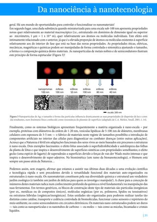 | 35
Da nanociência à nanotecnologia
geral. Há um mundo de oportunidades para controlar e funcionalizar os nanomateriais!
Em segundo lugar, uma dada substância quando miniaturizada para uma escala sub-100 nm apresenta propriedades
novas quer relativamente ao material macroscópico (i.e., estruturado em domínios de dimensão igual ou superior
ao micrómetro, 1 µm = 1 x 10-6
m), quer relativamente aos átomos ou moléculas individuais. Este efeito está
intimamente relacionado com o anterior, já que é a elevada proporção de átomos ou moléculas existentes à superfície
relativamente aos do interior de fase que está na base das novas propriedades. As propriedades óticas, elétricas,
mecânicas, magnéticas e químicas podem ser manipuladas de forma controlada e sistemática ajustando o tamanho,
a forma e a composição química destes materiais. As nanopartículas de metais nobres e de semicondutores ilustram
este princípio de forma espetacular (Figura 3)!
nanoprismas
100 nm
esferas
100 nm
esferas
50 nm
esferas
100 nm
esferas
80 nm
esferas
40 nm
escala: 200 nm
Figura 3 Nanopartículas de Ag: o tamanho e forma das partículas influencia drasticamente as suas propriedades de dispersão de luz e cores
daí resultantes, num fenómeno físico conhecido como ressonância do plasmão de superfície (adaptado de C.A. Mirkin, Small, 2005, 1, 14).
Finalmente, como os sistemas biológicos apresentam frequentemente a matéria organizada à nano-escala – por
exemplo, proteínas com diâmetros da ordem de 1-20 nm, vesículas lipídicas de 5-100 nm de diâmetro, membranas
celulares com espessura de 3-5 nm — o fabrico de materiais neste regime de tamanhos possibilita a introdução de
componentes artificiais no interior das células para diagnosticar ou combater doenças (entre outras aplicações).
Acresce que a Natureza é fértil em adaptações funcionais dos seres vivos ao meio baseados em processos e estruturas
à nano-escala. Dois exemplos fascinantes: o efeito lótus associado à superhidrofobicidade e autolimpeza das folhas
da planta de lótus e que inspira o desenvolvimento de superfícies sintéticas com propriedades semelhantes; o efeito
gecko (uma espécie de lagarto) de superadesão a superfícies devido a forças de van der Waals muito intensas e que
inspira o desenvolvimento de super-adesivos. Na biomimética (um ramo da bionanotecnologia), o Homem está
sempre um passo atrás da Natureza…
Podemos assim, sem exagero, afirmar que estamos a assistir nas últimas duas décadas a uma evolução científica
e tecnológica rápida e sem precedentes devido à versatilidade funcional dos materiais auto-organizados ou
estruturados à nano-escala. Os nanomateriais constituem pela sua diversidade química e estrutural um verdadeiro
jardim zoológico (e também um jardim de delícias para quem os investiga e manipula!). A chave para a conceção de
inúmeros destes materiais radica num conhecimento profundo da química a nível fundamental e na manipulação das
suas ferramentas. Em termos genéricos, os blocos de construção deste tipo de materiais são partículas inorgânicas
(por ex., metálicas ou de compostos iónicos), moléculas orgânicas (por ex. polímeros, lípidos ou tensioativos)
ou estruturas híbridas (orgânicas/inorgânicas). Estas unidades são organizadas para poderem realizar tarefas tão
distintas como catálise, transporte e cedência controlada de biomoléculas, funcionar como sensores e repórteres do
meio ambiente, ou como semicondutores em circuitos eletrónicos. Os materiais nano-estruturados podem ser duros
— tais como as nanopartículas e os nanotubos de carbono — ou moles — tais como as micelas, bicamadas e cristais
líquidos.
 