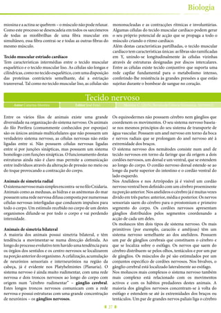 27
Biologia
miosina e a actina se quebrem – o músculo não pode relaxar.
Como este processo se desencadeia em todos os sarcómeros
de todas as miofibrilhas de uma fibra muscular em
simultâneo, essa fibra contrai-se e todas as outras fibras do
mesmo músculo.
Tecido muscular estriado cardíaco
Tem características intermédias entre o tecido muscular
esquelético e o tecido muscular liso. As células são longas e
cilíndricas,comonotecidoesquelético,comumadisposição
das proteínas contrácteis semelhante, daí a estriação
transversal. Tal como no tecido muscular liso, as células são
mononucleadas e as contracções rítmicas e involuntárias.
Algumas células do tecido muscular cardíaco podem gerar
o seu próprio potencial de acção que se propaga a todo o
músculo criando o ritmo cardíaco.
Além destas características partilhadas, o tecido muscular
cardíaco tem características únicas: as fibras são ramificadas
em Y, unindo-se longitudinalmente às células vizinhas
através de estruturas designadas por discos intercalares.
Entre as células existe tecido conjuntivo que suporta uma
rede capilar fundamental para o metabolismo intenso,
conferindo-lhe resistência às grandes pressões a que estão
sujeitas durante o bombear de sangue no coração.
Tecido nervoso
Autor Catarina Moreira Moreira, C. (2015), Revista de Ciência Elementar, 3(01):0121Editor José Feijó
Entre os vários filos de animais existe uma grande
diversidade na organização do sistema nervoso. Os animais
do filo Porífera (comummente conhecidos por esponjas)
são os únicos animais multicelulares que não possuem um
verdadeiro sistema nervoso, as células nervosas não estão
ligadas entre si. Não possuem células nervosas ligadas
entre si por junções sinápticas, mas possuem um sistema
homólogo com funções sinápticas. O funcionamento destas
estruturas ainda não é claro mas permite a comunicação
entre indivíduos através da alteração de pressão no meio ou
do toque provocando a contracção do corpo.
Animais de simetria radial
Osistemanervosomaissimplesencontra-senofiloCnidaria.
Animais como as medusas, as hidras e as anémonas do mar
possuem uma rede nervosa difusa composta por numerosas
células nervosas interligadas que conduzem impulsos para
todo o corpo. Um estímulo recebido no corpo de um destes
organismos difunde-se por todo o corpo e vai perdendo
intensidade.
Animais de simetria bilateral
A maioria dos animais possui simetria bilateral, e têm
tendência a movimentar-se numa direcção definida. Ao
longodoprocessoevolutivotemhavidoumatendênciapara
os órgãos dos sentidos e os centro nervosos se localizarem
naporçãoanteriordoorganismo.Acefalização,acumulação
de neurónios sensoriais e interneurónios na região da
cabeça, já é evidente nos Platyhelmintes (Planaria). O
sistema nervoso é ainda muito rudimentar, com uma rede
nervosa e dois troncos nervosos ao longo do corpo com
origem num “cérebro rudimentar” – gânglio cerebral.
Estes longos troncos nervosos comunicam com a rede
nervosa e possui estruturas com uma grande concentração
de neurónios – os gânglios nervosos.
Os equinodermes não possuem cérebro nem gânglios que
coordenem os movimentos. O seu sistema nervoso baseia-
se nos mesmos princípios do seu sistema de transporte de
água vascular. Possuem um anel nervoso em torno da boca
e nervos radiais que se prolongam do anel nervoso até à
extremidade dos braços.
O sistema nervoso dos nemátodes consiste num anel de
tecido nervosos em torno da faringe que dá origem a dois
cordões nervosos, um dorsal e um ventral, que se estendem
ao longo do corpo. O cordão nervoso dorsal estende-se ao
longo da parte superior do intestino e o cordão ventral do
lado esquerdo.
Nos Anelídeos e nos Artrópodes já é visível um cordão
nervoso ventral bem definido com um cérebro proeminente
na porção anterior. Nos anelídeos o cérebro já é muitas vezes
divido em três partes: anterior, média e posterior. Os nervos
sensoriais saem do cérebro para o prostomium e primeiro
segmento do corpo. Os cordões nervosos apresentam
gânglios distribuídos pelos segmentos coordenando a
acção de cada um deles.
Os moluscos têm dois tipos de sistema nervoso. Os mais
primitivos (por exemplo, caracóis e amêijoas) têm um
sistema nervoso semelhante ao dos anelídeos. Possuem
um par de gânglios cerebrais que constituem o cérebro e
que se localiza sobre o esófago. Os nervos que saem do
cérebro distribuem-se pelos olhos, tentáculos e por um par
de gânglios. Os músculos do pé são estimulados por um
conjuntos específico de cordões nervosos. Nos bivalves, o
gânglio cerebral está localizado lateralmente ao esófago.
Nos moluscos mais complexos o sistema nervoso também
mais complexo está relacionado com os movimentos
activos e com os hábitos predadores destes animais. A
maioria dos gânglios nervosos concentram-se à volta do
esófago e estendem-se até às extremidades dos braços ou
tentáculos. Um par de grandes nervos paliais liga o cérebro
 