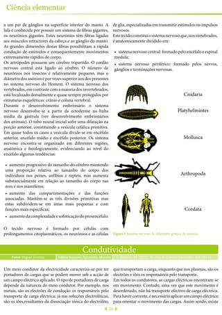 28
Ciência elementar
a um par de gânglios na superfície interior do manto. A
lula é conhecida por possuir um sistema de fibras gigantes,
os neurónios gigantes. Estes neurónios têm fibras ligadas
aos músculos retractores da cabeça e ao gânglio do manto.
As grandes dimensões destas fibras possibilitam a rápida
condução de estímulos e consequentemente movimentos
extremamente rápidos do corpo.
Os artrópodes possuem um cérebro tripartido. O cordão
nervoso central está ligado ao cérebro. O número de
neurónios nos insectos é relativamente pequeno, mas o
diâmetro dos axónios é por vezes superior aos dos presentes
no sistema nervoso do Homem. O sistema nervoso dos
vertebrados, em contraste com a maioria dos invertebrados,
está localizado dorsalmente e quase sempre protegidos por
estruturas esqueléticas: crânio e coluna vertebral.
Durante o desenvolvimento embrionário o sistema
nervoso desenvolve-se a partir da ectoderme na linha
média da gástrula (ver desenvolvimento embrionários
dos animais). O tubo neural inicial sofre uma dilatação na
porção anterior, constituindo a vesícula cefálica primitiva.
Em quase todos os casos a vesícula divide-se em encéfalo
anterior, encéfalo médio e encéfalo posterior. Os sistema
nervoso encontra-se organizado em diferentes regiões,
anatómica e fisiologicamente, evidenciando ao nível do
encéfalo algumas tendências:
•	 aumento progressivo do tamanho do cérebro mantendo
uma proporção relativa ao tamanho do corpo dos
indivíduos nos peixes, anfíbios e repteis, mas aumenta
substancialmente em relação ao tamanho do corpo nas
aves e nos mamíferos;
•	 aumento das compartimentações e das funções
associadas. Mantêm-se as três divisões primitivas mas
estas subdividem-se em áreas mais pequenas e com
funções mais específicas;
•	 aumentodacomplexidadeesofisticaçãodoprosencéfalo.
O tecido nervoso é formado por células com
prolongamentos citoplasmáticos, os neurónios e as células
de glia, especializadas em transmitir estímulos ou impulsos
nervosos.
Estetecidoconstituiosistemanervosoque,nosvertebrados,
é anatomicamente dividido em:
•	 sistema nervoso central: formado pelo encéfalo e espinal
medula;
•	 sistema nervoso periférico: formado pelos nervos,
gânglios e terminações nervosas.
Cnidaria
Platyhelmintes
Mollusca
Arthropoda
Cordata
Figura 1 Sistema nervoso de diferentes grupos de animais.
Condutividade
Autor Miguel Ferreira Ferreira, M. (2015), Revista de Ciência Elementar, 3(01):0122Editor Joaquim Agostinho Moreira
Um meio condutor da electricidade caracteriza-se por ter
portadores de cargas que se podem mover sob a acção de
um campo eléctrico aplicado. O tipo de portadores de carga
depende da natureza do meio condutor. Por exemplo, nos
metais, são os electrões de condução os responsáveis pelo
transporte de carga eléctrica; já nas soluções electrolíticas,
são os iões,resultantes da dissociação iónica do electrólito,
que transportam a carga, enquanto que nos plasmas, são os
electrões e iões os responsáveis pelo transporte.
Em todos os condutores, as cargas eléctricas encontram-se
em movimento. Contudo, uma vez que este movimento é
desordenado, não há transporte efectivo de carga eléctrica.
Para haver corrente, é necessário aplicar um campo eléctrico
para orientar o movimento das cargas. Assim sendo, existe
 