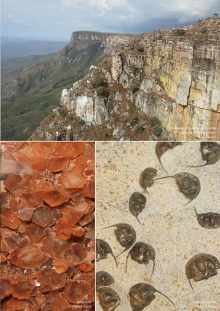 47
Ctrl+shft+click
	 Contraste geomorfológico entre
unidades do Proterozóico
Luís Duarte
	 Omnia superba
Miguel Sousa
	 	 Aragonite
Miguel Sousa
 