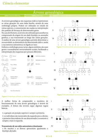 Árvore genealógica
Autor Catarina Moreira Moreira, C. (2015), Revista de Ciência Elementar, 3(02):0135Editor José Feijó
24
Ciência elementar
As árvores genealógicas são esquemas onde se representam
as várias gerações de uma dada família, através de uma
simbologia própria. Podem ser utilizadas no estudo de
várias espécies, e comummente são usadas na interpretação
dos padrões de herança de determinados genes.
NocasodoHomem,asárvoressãoutilizadasparaauxiliarna
compreensão da origem de um dado fenótipo ou anomalia
genética, e sua transmissão ao longo das várias gerações.
A análise de uma árvore genealógica permite determinar a
recessividade ou dominância de determinado alelo e ainda
a sua natureza autossómica ou ligada ao sexo.
Embora a simbologia possa variar, alguns símbolos são mais
gerais e normalmente universalmente aceites, facilitando a
interpretação dos esquemas por pessoas diferentes.
1 2
Fêmea Macho Indivíduos afetados
Indivíduos normais
falecidos
Casamento
consanguíneo
Número de descendentes
de cada sexo
Casamento
Pais e Filhos:
Gémeos falsos
(dizigóticos)
Gémeos verdadeiros
(monozigóticos)
Sexo desconhecido
1 rapariga
1 rapaz
imagem 1
Figura 1 Simbologia utilizada na elaboração das árvores genealógicas.
A melhor forma de compreender a mecânica de
funcionamento de uma árvore genealógica é através de
exemplos. A leitura das árvores segue algumas regras
básicas:
1.	a geração em posição superior é sempre a primeira;
2.	os indivíduos são numerados da esquerda para a direita:
o primeiro descendente de um determinado cruzamento é
sempre o mais à esquerda.
Transmissão de um alelo autossómico dominante
•	 Os machos e as fêmeas apresentam igualmente o
fenótipo afectado.
imagem 2
I
II
III
1 2
aa Aa
A-
A-A-
Aa Aa
Aa Aa
aa
1
aa aa aa
aa aa aa aa aa aa
2 3 4 5 6 7
1 2 3 4 5 6 7 8 9 10
Figura 2 Hereditariedade autossómica dominante.
I
II
III
IV
V
1 2 3 4 5 6 7 8 9
1 2 3 4 5 6 7 8
1 2
1 2 3
1 2 3 4
imagem 3
Figura 3 Hereditariedade autossómica recessiva.
imagem 4
I
II
III
IV
1 2 3 4 5 6 7 8 9
1 2 3 4 5 6 7 8
1 2
1 2 3 4
Figura 4 Hereditariedade de um alelo dominante ligado ao
cromossoma X.
 