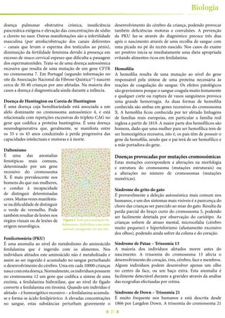 27
Biologia
doença pulmonar obstrutiva crónica, insuficiência
pancreática exógena e elevação das concentrações de sódio
e cloreto no suor. Outras manifestações são a infertilidade
masculina (por atrofia/obstrução dos canais deferentes
– canais que levam o esperma dos testículos ao pénis),
diminuição da fertilidade feminina devido à presença em
excesso de muco cervical espesso que dificulta a passagem
dos espermatozóides. Trata-se de uma doença autossómica
recessiva que resulta de uma mutação de um gene CFTR
no cromossoma 7. Em Portugal (segundo informação no
site da Associação Nacional da Fibrose Quística[1]
) nascem
cerca de 30-40 crianças por ano afetadas. Na maioria dos
casos a doença é diagnosticada ainda durante a infância.
Doença de Huntington ou Coreia de Huntington
É uma doença cuja hereditariedade está associada a um
alelo dominante no cromossoma autossómico 4, e está
relacionada com repetições excessivas do tripleto CAG no
gene que codifica a proteína huntingtina. É uma doença
neurodegenerativa que, geralmente, se manifesta entre
os 35 e os 45 anos conduzindo à perda progressiva das
capacidades intelectuais e motoras e à morte.
Daltonismo
É uma das anomalias
fenotípicas mais comuns,
determinado por um gene
recessivo do cromossoma
X. É mais prevalescente nos
homens do que nas mulheres,
e conduz à incapacidade
de distinguir determinadas
cores.Muitasvezesmanifesta-
se na dificuldade de distinguir
o verde do vermelho. Pode
também resultar de lesões nos
órgãos visuais ou de lesões de
origem neurológica.
Fenilcetonúria (PKU)
É uma anomalia ao nível do metabolismo do aminoácido
fenilalanina que é ingerido com os alimentos. Nos
indivíduos afetados este aminoácido não é metabolizado e
assim ao ser ingerido é acumulado no sangue perturbando
o desenvolvimento do cérebro. Uma em cada 10000 crianças
nascecomestadoença.Normalmente,osindivíduospossuem
no cromossoma 12 um gene que codifica a síntese de uma
enzima, a fenilalanina hidroxilase, que ao nível do fígado
converte a fenilalanina em tirosina. Quando um indivíduo é
afetado – é homozigótico recessivo – a fenilalanina acumula-
se e forma-se ácido fenilpirúvico. A elevadas concentrações
no sangue, estas substâncias perturbam gravemente o
desenvolvimento do cérebro da criança, podendo provocar
também deficiências motoras e convulsões. A prevenção
da PKU faz-se através do diagnóstico precoce três dias
após o nascimento através de uma recolha de sangue com
uma picada no pé do recém-nascido. Nos casos do exame
ser positivo inicia-se imediatamente uma dieta apropriada
evitando alimentos ricos em fenilalanina.
Hemofilia
A hemofilia resulta de uma mutação ao nível do gene
responsável pela síntese de uma proteína necessária às
reações de coagulação do sangue. Os efeitos patológicos
são gravíssimos porque o sangue coagula muito lentamente
e qualquer corte ou ruptura de vasos sanguíneos provoca
uma grande hemorragia. As duas formas de hemofilia
conhecida são ambas em genes recessivos do cromossoma
X. A hemofilia ficou conhecida por ter afetado linhagens
de famílias reais europeias, em particular a família real
inglesa a partir de 1819. A maior parte dos hemofílicos são
homens, dado que uma mulher para ser hemofílica tem de
ser homozigótica recessiva, isto é, os pais têm de possuir o
gene da hemofilia, sendo que o pai terá de ser hemofílico e
a mãe portadora do gene.
Doenças provocadas por mutações cromossómicas
Estas mutações correspondem a alterações na morfologia
e estrutura do cromossoma (mutações estruturais) ou
a alterações no número de cromossomas (mutações
numéricas).
Síndrome do grito do gato
É provavelmente a deleção autossómica mais comum nos
humanos, e um dos sintomas mais visíveis é a parecença do
choro das crianças ser parecido ao miar do gato. Resulta da
perda parcial do braço curto do cromossoma 5, podendo
ser facilmente detetada por observação do cariótipo. As
crianças sofrem de atraso mental, microcefalia (cérebro
muito pequeno) e hipertelorismo (afastamento excessivo
dos olhos), podendo ainda sofrer da coluna e do coração.
Síndrome de Patau – Trissomia 13
A maioria dos indivíduos afetados morre antes do
nascimento. A trissomia do cromossoma 13 afecta o
desenvolvimento do coração, rins, cérebro, face e membros.
Alguns indivíduos podem desenvolver apenas um olho
no centro da face, ou um baço extra. Esta anomalia é
facilmente detectável durante a gravidez através da análise
das ecografias efectuadas por rotina.
Síndrome de Down – Trissomia 21
É muito frequente nos humanos e está descrita desde
1866 por Langdon Down. A trissomia do cromossoma 21
Figura 1 Teste para avaliação do
daltonismo. Indivíduos com visão
normal conseguirão ver um oito.
 