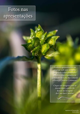 Aquénios de Ranunculus
Rubim Silva
Fotos nas
apresentações
Banco de Imagens da Casa das Ciências
Produza apresentações ou
páginas web com imagens
de grande valor científico e
didático, com a garantia de
qualidade da Casa das Ciências
e licença Creative Commons.
Clique nas imagens para as
descarregar a partir do
Banco de Imagens
da Casa das Ciências.
 