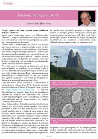 6
Opinião
Imagem, ilustração e Ciência
Porquê e como, ter estes recursos numa plataforma
dedicada ao ensino?
Muitas vezes, senão quase sempre nas Ciências ditas
“Naturais”, a imagem é um instrumento fundamental quer
para a apreensão de conhecimento, quer para a sua análise
quer mesmo para a sua discussão.
Embora toda a aprendizagem da Ciência, em sentido
lato, nunca dispense a experimentação como modelo
privilegiado de apreensão e compreensão do conhecimento,
nem sempre o registo desses procedimentos e a observação
do experimentado perduram, quer na memória quer na
estrutura conceptual de quem aprende. O papel da imagem
neste contexto, seja ela digital ou em qualquer outro tipo
de suporte, é essencial para que se façam consolidações de
saberes e refrescamento de memória.
Por outro lado, o manancial de informação em áreas
como a botânica ou a zoologia, na diversidade celular e
nas suas diferentes capacidades tecnologias de observação
(que todos os dias vão progredindo) ou em áreas como a
geomorfologia e a biodiversidade, faz com que a recolha
dos registos informativos em forma de fotografia ou
ilustração sejam uma ferramenta assaz eficaz.
Com base nestas linhas condutoras, e respondendo a
solicitações que vinham desde 2012, a Casa das Ciências,
tem vindo com o seu “Banco de Imagens” - que encontra
em http://imagem.casadasciencias.org/ - a procurar
disponibilizar aos docentes desta área, um significativo
conjunto de imagens que, esperamos nós, possam
contribuir para cada professor, no contexto que considerar
mais adequado, usar de forma aberta e em Creative
Commons, esses recursos.
E isso pode acontecer de muitas maneiras: imprimir uma
imagem para que todos os alunos a possam observar em
pormenor e partir daí para uma discussão ou análise
grupal temática; usar a projeção de uma imagem para,
de forma similar, mas num contexto mais motivacional,
fazer a introdução a uma área temática ou a um conteúdo
específico. Mas a ideia central que presidiu e ainda é
um dos motores essenciais deste nosso trabalho, é a da
ilustração. Ilustração no sentido de ilustrar, de mostrar,
de permitir a observação. Nos textos que um professor
cria, nas apresentações que faz, nos trabalhos que propõe
aos alunos, existe sempre um espaço para a representação
gráficadasideiasouconceitosquesepretendemapresentar.
Isto ganha mais significado quando as imagens que
usamos são de algo a que não temos acesso directo, quer
porque se encontra, em paragens onde não é possível fazer
uma simples viagem de estudo, ou porque os processos
de observação são complexos e tecnicamente muito
elaborados para se poderem usar em qualquer escola.
Figura 1 Inselberg ou Pão de Açúcar. (foto: Paulo Emanuel
Talhadas Ferreira da Fonseca – FCUP).
Figura 2 Complexo de Golgi e rede trans-Golgi (foto: José Pissarra
– FCUP).
Foi por esta razão que a organização das imagens que têm
vindo a ser colocadas à disposição de todos, foi elaborada
de um modo simples e procurando ser muito abrangente,
Manuel Luís Silva Pinto
 