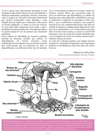 9
Opinião
é) não é apenas uma representação desenhada de uma
fotografia ou algo similar. Para isso servem as fotografias. A
ilustração esquematiza, aprofunda, relaciona, acrescenta,
enfim, à imagem do “ilustrado”, informação fundamental
que permita compreender, numa dimensão o mais
alargada possível, aquilo que se representa. Tudo quanto
se encontra publicado, e é muito, na Casa das Ciências,
foi aceite pelo Editor responsável como tendo o rigor e
qualidade necessárias à publicação. O exemplo que damos,
é-o apenas porque foi um dos prémios que anualmente
atribuímos.
Neste contexto da dificuldade em encontrar produção
nacional de ilustração científica que pudesse ser
disponibilizada em Creative Commons, foram
estabelecidas diversas ligações quer em termos nacionais
quer internacionais que nos pudessem ser úteis na
disponibilização aos professores deste tipo de materiais.
Foi na Universidade de Ottawa no Canadá e através do
Professor Antoine Morin, que encontramos logo em
2012 um interlocutor que disponibilizou os milhares de
ilustrações que estão publicados no BIODIDAC, para que
as pudéssemos re-legendar em português se fosse caso
disso, e que as pudéssemos enriquecer com pequenos
descritivos de cariz científico/educacional. Tem sido um
trabalho de minúcia e cuidadosamente elaborado por uma
das nossas colaboradoras, a Dr.ª Diana Barbosa que, para
além de muitas outras tarefas, já colocou no portal 380
ilustrações, neste caso, todas da excelente ilustradora que
é Ivy Livingstone de Greely, no Canadá, estando ainda a
trabalhar centenas de outras.
Se, como diz o aforismo popular, uma imagem vale por
mil palavras, esta plataforma aguarda as suas imagens para
poderem ser partilhadas por quem lhes dará com certeza
bom uso.
Manuel Luís Silva Pinto
Subcoordenador do projeto Casa das Ciências
Figura 8 Fungos Basidiomycota – Ciclo de vida de um cogumelo – Ilustração legendada do ciclo de vida de um fungo do filo Basidiomycota –
um cogumelo. Os Basidiomycota são fungos filamentosos compostos por hifas (com exceção das leveduras) que se reproduzem sexuadamente
pela formação de células especializadas chamadas basídios, que dão origem aos basidiósporos (esporos especializados). Também se podem
reproduzir assexuadamente. Aquilo a que tipicamente chamamos cogumelo é o basidiocarpo, o corpo frutífero que contêm os basídios.
[Fungi; Basidiomycota] (ilustração: IvY Livingstone traduzida e adaptada por Diana Barbosa, Casa das Ciências).
 