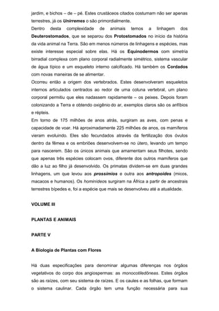 jardim, e bichos – de – pé. Estes crustáceos citados costumam não ser apenas
terrestres, já os Unirremes o são primordialmente.
Dentro desta complexidade de animais temos a linhagem dos
Deuterostomados, que se separou dos Protostomados no início da história
da vida animal na Terra. São em menos números de linhagens e espécies, mas
existe interesse especial sobre elas. Há os Equinodermos com simetria
birradial complexa com plano corporal radialmente simétrico, sistema vascular
de água típico e um esqueleto interno calcificado. Há também os Cordados
com novas maneiras de se alimentar.
Ocorreu então a origem dos vertebrados. Estes desenvolveram esqueletos
internos articulados centrados ao redor de uma coluna vertebral, um plano
corporal permitiu que eles nadassem rapidamente – os peixes. Depois foram
colonizando a Terra e obtendo oxigênio do ar, exemplos claros são os anfíbios
e répteis.
Em torno de 175 milhões de anos atrás, surgiram as aves, com penas e
capacidade de voar. Há aproximadamente 225 milhões de anos, os mamíferos
vieram evoluindo. Eles são fecundados através da fertilização dos óvulos
dentro da fêmea e os embriões desenvolvem-se no útero, levando um tempo
para nascerem. São os únicos animais que amamentam seus filhotes, sendo
que apenas três espécies colocam ovos, diferente dos outros mamíferos que
dão a luz ao filho já desenvolvido. Os primatas dividem-se em duas grandes
linhagens, um que levou aos prossímios e outra aos antropoides (micos,
macacos e humanos). Os hominídeos surgiram na África a partir de ancestrais
terrestres bípedes e, foi a espécie que mais se desenvolveu até a atualidade.
VOLUME III
PLANTAS E ANIMAIS
PARTE V
A Biologia de Plantas com Flores
Há duas especificações para denominar algumas diferenças nos órgãos
vegetativos do corpo dos angiospermas: as monocotiledôneas. Estes órgãos
são as raízes, com seu sistema de raízes. E os caules e as folhas, que formam
o sistema caulinar. Cada órgão tem uma função necessária para sua
 