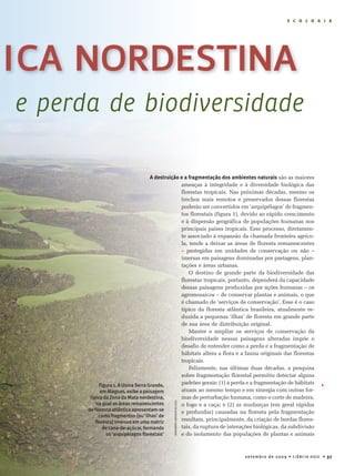 E C O L O G I A




ICA NORDESTINA
e perda de biodiversidade

                                     A destruição e a fragmentação dos ambientes naturais são as maiores
                                                  ameaças à integridade e à diversidade biológica das
                                                  florestas tropicais. Nas próximas décadas, mesmo os
                                                  trechos mais remotos e preservados dessas florestas
                                                  poderão ser convertidos em ‘arquipélagos’ de fragmen-
                                                  tos florestais (figura 1), devido ao rápido crescimento
                                                  e à dispersão geográfica de populações humanas nos
                                                  principais países tropicais. Esse processo, diretamen-
                                                  te associado à expansão da chamada fronteira agríco-
                                                  la, tende a deixar as áreas de floresta remanescentes
                                                  – protegidas em unidades de conservação ou não –
                                                  imersas em paisagens dominadas por pastagens, plan-
                                                  tações e áreas urbanas.
                                                      O destino de grande parte da biodiversidade das
                                                  florestas tropicais, portanto, dependerá da capacidade
                                                  dessas paisagens produzidas por ações humanas – os
                                                  agromosaicos – de conservar plantas e animais, o que
                                                  é chamado de ‘serviços de conservação’. Esse é o caso
                                                  típico da floresta atlântica brasileira, atualmente re-
                                                  duzida a pequenas ‘ilhas’ de floresta em grande parte
                                                  de sua área de distribuição original.
                                                      Manter e ampliar os serviços de conservação da
                                                  biodiversidade nessas paisagens alteradas impõe o
                                                  desafio de entender como a perda e a fragmentação de
                                                  hábitats altera a flora e a fauna originais das florestas
                                                  tropicais.
                                                      Felizmente, nas últimas duas décadas, a pesquisa
                                                  sobre fragmentação florestal permitiu detectar alguns
            Figura 1. A Usina Serra Grande,       padrões gerais: (1) a perda e a fragmentação de hábitats    
            em Alagoas, exibe a paisagem          atuam ao mesmo tempo e em sinergia com outras for-
       típica da Zona da Mata nordestina,         mas de perturbação humana, como o corte de madeira,
                                            Foto de adrIano GaMBarInI




          na qual as áreas remanescentes          o fogo e a caça; e (2) as mudanças (em geral rápidas
      de ﬂoresta atlântica apresentam-se          e profundas) causadas na floresta pela fragmentação
           como fragmentos (ou ‘ilhas’ de
          ﬂoresta) imersos em uma matriz          resultam, principalmente, da criação de bordas flores-
              de cana-de-açúcar, formando         tais, da ruptura de interações biológicas, da subdivisão
               os ‘arquipélagos ﬂorestais’        e do isolamento das populações de plantas e animais



                                                                            setembro de 20 0 9 • CiênCia Hoje • 3 7
 