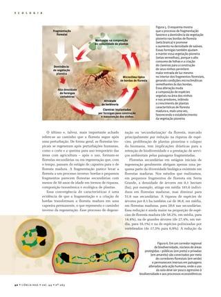 E C O L O G I A




                                                                                              Figura 5. O esquema mostra
                                                                                              que o processo de fragmentação
                                                                                              favorece a dominância da vegetação
                                                                                              pioneira nas bordas de floresta
                                                                                              (seta branca) e promove
                                                                                              o aumento na densidade de saúvas.
                                                                                              Essas formigas também ajudam
                                                                                              a manter essa vegetação pioneira
                                                                                              (setas vermelhas), porque o alto
                                                                                              consumo de folhas e a criação
                                                                                              de clareiras para a construção
                                                                                              de seus ninhos permitem
                                                                                              maior entrada de luz mesmo
                                                                                              no interior dos fragmentos florestais,
                                                                                              gerando condições microclimáticas
                                                                                              semelhantes às das bordas.
                                                                                              Essa alteração muda
                                                                                              a composição de espécies
                                                                                              vegetais na área dos ninhos
                                                                                              e nos arredores, inibindo
                                                                                              o crescimento de plantas
                                                                                              características de floresta
                                                                                              madura e, mais uma vez,
                                                                                              favorecendo o estabelecimento
                                                                                              da vegetação pioneira



                       O último e, talvez, mais importante achado        ração ou ‘secundarização’ da floresta, marcado
                    refere-se ao caminho que a floresta segue após       principalmente por redução na riqueza de espé-
                    uma perturbação. De forma geral, as florestas tro-   cies, proliferação de plantas pioneiras e colapso
                    picais se regeneram após perturbações humanas,       da biomassa, tem implicações drásticas para a
                    como o corte e a queima para uso temporário das      retenção de biodiversidade e a prestação de servi-
                    áreas com agricultura – após o uso, formam-se        ços ambientais pelas paisagens fragmentadas.
                    florestas secundárias ou em regeneração que, com        Florestas secundárias em estágios iniciais de
                    o tempo, passam do estágio de capoeira para o de     regeneração geralmente abrigam apenas uma pe-
                    floresta madura. A fragmentação parece levar a       quena parte da diversidade biológica existente em
                    floresta a um processo inverso: bordas e pequenos    florestas maduras. Nos estudos que realizamos,
                    fragmentos parecem florestas secundárias com         em pequenos fragmentos de floresta em Serra
                    menos de 50 anos de idade em termos de riqueza,      Grande, a densidade de árvores em 0,1 hectare
                    composição taxonômica e ecológica de plantas.        (ha), por exemplo, atinge em média 101,6 indiví-
                       Essa convergência de características é uma        duos em florestas maduras, mas diminui para
                    evidência de que a fragmentação e a criação de       51,6 nas secundárias. A riqueza de espécies de
                    bordas transformam a floresta madura em uma          árvores por 0,1 ha também cai de 36,8, em média,
                    capoeira permanente, o que representa o caminho      em florestas maduras, para 20,6 nas secundárias.
                    inverso da regeneração. Esse processo de degene-     Essa redução é ainda maior na proporção de espé-
                                                                         cies de floresta madura (de 58,2%, em média, para
                                                                         14,4%), na de grandes árvores (de 27,4%, em mé-
                                                                         dia, para 16,1%) e na de espécies polinizadas por
                                                                         vertebrados (de 17,5% para 6,9%). A redução da



                                                                                                Figura 6. Em um corredor regional
                                                                                              de biodiversidade, núcleos de áreas
                                                                                      protegidas – públicas (em preto) e privadas
                                                                                          (em amarelo) são conectados por meio
                                                                                               de corredores florestais (em verde)
                                                                                            e permanecem imersos em paisagens
                                                                                         alteradas pela ação humana, onde o uso
                                                                                               do solo deve ser pouco agressivo à
                                                                                  biodiversidade e aos processos ecossistêmicos


40 • CiênCia Hoje • vol . 4 4 • nº 263
 