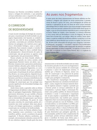 E C O L O G I A




biomassa nas florestas secundárias também di-
minui a ciclagem de nutrientes, o que prejudica
serviços ambientais como o sequestro de carbono,
                                                        As aves nos fragmentos
a proteção do solo e o controle climático.              a maior parte das áreas remanescentes de floresta atlântica em Per-
                                                        nambuco e alagoas está situada em terras pertencentes a grandes
                                                        usinas de álcool e açúcar. em 2005, uma investigação do número de

o corredor                                              espécies e subespécies de aves nas áreas de várias usinas (realizada
                                                        pela bióloga Sônia a. roda) mostrou que essas paisagens fragmentadas

de BiodiVersidade                                       ainda conservam parcelas substanciais da diversidade desse grupo na
                                                        região, o que as torna de extrema importância para a conservação des-
                                                        sa fauna. Podem ser citados, como exemplos, os números referentes
A mais recente estratégia da biologia da conserva-      a cinco usinas (três em Pernambuco e duas em alagoas). na área da
ção para a manutenção da biodiversidade em pai-         Usina Serra Grande (aL), que abriga a Mata de Coimbra, foram obser-
sagens fragmentadas está baseada no estabeleci-         vadas 21 espécies endêmicas da floresta atlântica nordestina (75% das
mento de uma rede de áreas protegidas públicas          aves endêmicas dessa floresta que ocorrem na região). em Serra Gran-
e privadas, conectadas por corredores florestais e      de, 28 aves estão ameaçadas de extinção (nas categorias ‘criticamen-
imersas em paisagens com matrizes pouco agres-          te ameaçada’, ‘em perigo’ e ‘vulnerável’), segundo a lista do Ministério
sivas à diversidade biológica, como a matriz de         do Meio ambiente. também estão ameaçadas de extinção 20 espécies
agrofloresta. Esse conjunto compõe o ‘corredor de       de aves observadas na Usina Cruangi (Pe), 26 espécies na Usina Frei Ca-
biodiversidade’ (figura 6), hoje a unidade básica       neca (Pe), 16 espécies na Usina Santo antonio (aL) e 22 espécies na
de planejamento e desenvolvimento de ações de           Usina trapiche (Pe).
conservação, seja por governos ou agentes como
as organizações não governamentais (ONGs).
   Nossos achados em Serra Grande, aliados ao
conhecimento gerado em outros estudos sobre
fragmentação florestal, trazem um alerta: caso as
florestas remanescentes apresentem predominan-        remanescentes (e da biodiversidade) está nas mãos
                                                                                                                 Sugestões
temente hábitats alterados pelos efeitos de borda,    da iniciativa privada (ver ‘As aves nos fragmentos’)       para leitura
como ocorre nos pequenos fragmentos, os corre-        e a maioria das poucas unidades de conservação
                                                      é pequena e carece de implantação mínima. À                GIrÃo, L. C.; LoPeS, a.
dores de biodiversidade terão pouco valor de
                                                                                                                   V., taBareLLI, M. &
conservação e de prestação de serviços ambientais.    medida que a floresta se degenera, menor seu                 BrUna, e. M.
Sua eficácia, em outras palavras, depende da pro-     valor de conservação e seu potencial de prestar              ‘Changes in tree
                                                                                                                   reproductive traits
teção de grandes áreas de floresta (acima de 10 mil   serviços ambientais, o que reduz gradativamente              reduce functional
hectares), pois blocos com pouca interferência dos    o apelo para protegê-la e restaurá-la.                       diversity in a
                                                         Para transformar arquipélagos de pequenos                 fragmented atlantic
efeitos de borda são insubstituíveis em qualquer                                                                   Forest landscape’,
estratégia de conservação que vise proteger uma       fragmentos florestais em corredores de biodiversi-           in PLoS One (Public
amostra significativa da diversidade biológica das    dade e, assim, resgatar da extinção iminente deze-           Library of Science),
                                                                                                                   v. 2, e908, 2007
florestas tropicais.                                  nas de espécies animais e vegetais e permitir que            (publicação
   Ainda temos muito a aprender sobre os efeitos      a floresta preste os serviços ambientais de que              disponível apenas
                                                                                                                   on-line).
da fragmentação de hábitats e sobre a dinâmica bio-   necessitamos, é preciso eleger a restauração flo-
                                                                                                                 GUIMarÃeS, M.
lógica de paisagens fragmentadas. Objetivamente,      restal como política pública de desenvolvimento              ‘Ilhas de ﬂoresta’,
precisamos determinar em que medida a floresta        econômico e social. A restauração é importante               in Pesquisa Fapesp,
                                                                                                                   n. 153,
fragmentada se assemelha a áreas em estágio ini-      não só para ampliar a quantidade de hábitat flo-             p. 72, 2008.
cial ou intermediário de regeneração e que fatores    restal remanescente, mas também para conectar              taBareLLI, M.; LoPeS,
                                                                                                                   a. V. & PereS, C. a.
controlam essa semelhança. Do ponto de vista          fragmentos-chave na escala da paisagem. O Estado,            ‘edge-effects drive
das ações concretas de conservação, porém, até o      a iniciativa privada (no caso do Nordeste, o setor           tropical forest
                                                      sucroalcooleiro), as universidades e as ONGs pre-            fragments
momento não existe qualquer ideia mais plausí-
                                                                                                                   towards an
vel que a de integrar agromosaicos e unidades de      cisam trabalhar em parceria enquanto existe algu-            early-successional
conservação em corredores de biodiversidade.          ma chance para a flora e a fauna da floresta atlân-          system’, in
                                                                                                                   Biotropica, v. 40,
   Em muitos setores da floresta atlântica brasi-     tica nordestina. Esta é uma excelente oportunida-            p. 657, 2008.
leira, implantar esses corredores é um desafio        de para demonstrar que paisagens agrícolas, se             WaLtZ, I. ‘Menos
                                                      bem manejadas, podem ter valor complementar de               ﬂoresta, mais
científico, político, social e econômico de grande                                                                 formigas’,
magnitude. A floresta atlântica nordestina, por       conservação, prestar serviços ambientais estraté-            in Ciência Hoje,
exemplo, está atualmente reduzida a menos de 5%       gicos e contribuir de forma mais efetiva para o              n. 255, p. 60,
                                                                                                                   2008.
de sua cobertura original. Grande parte das áreas     desenvolvimento sustentável das sociedades.        ■




                                                                                         setembro de 20 0 9 • CiênCia Hoje • 41
 