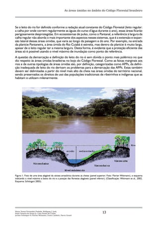 As áreas úmidas no âmbito do Código Florestal brasileiro




Se o leito do rio for definido conforme a redação atual constante do Código Florestal (leito regular:
a calha por onde correm regularmente as águas do curso d’água durante o ano), essas áreas ficarão
perigosamente desprotegidas. Em ecossistemas de pulso, como o Pantanal, a referência à largura da
calha regular não aborda o mais importante dos aspectos nesses sistemas, que é a extensão e expan-
são lateral dessas áreas úmidas, que varia ao longo da paisagem e do ano. Por exemplo, na entrada
da planície Pantaneira, a área úmida do Rio Cuiabá é estreita, mas dentro da planície é muito larga,
apesar de o leito regular ter a mesma largura. Desta forma, é evidente que a proteção eficiente das
áreas só é possível usando o nível máximo de inundação como ponto de referência.
A questão da demarcação e definição do leito do rio é sem dúvida o ponto mais polêmico no que
diz respeito às áreas úmidas brasileiras no bojo do Código Florestal. Como as faixas marginais aos
rios e de outras tipologias de áreas úmidas são, por definição, categorizadas como APPs, da defini-
ção inadequada de leito do rio derivam os problemas para a demarcação das APPs. Estas também
devem ser delimitadas a partir do nível mais alto da cheia nas áreas úmidas do território nacional,
sendo preservados os direitos de uso das populações tradicionais de ribeirinhos e indígenas que as
habitam e utilizam milenarmente.




Figura 1. Foto de uma área alagável da várzea amazônica durante as cheias (painel superior; Foto: Florian Wittmann), e esquema
indicando o nível máximo e baixo do rio e a posição das florestas alagáveis (painel inferior); (Classificação: Wittmann et al., 2002,
Esquema: Schöngart 2003).




Maria Teresa Fernandez Piedade, Wolfgang J. Junk,
Paulo Teixeira de Sousa Jr, Catia Nunes da Cunha,                                          13
Jochen Schöngart & Florian Wittmann, Ennio Candotti, Pierre Girard
 