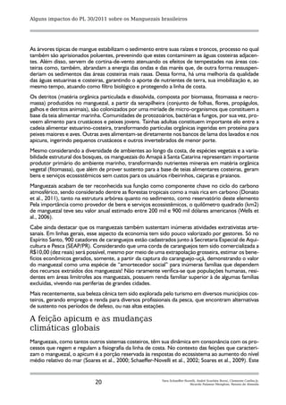 Alguns impactos do PL 30/2011 sobre os Manguezais brasileiros




As árvores típicas de mangue estabilizam o sedimento entre suas raízes e troncos, processo no qual
também são aprisionados poluentes, prevenindo que estes contaminem as águas costeiras adjacen-
tes. Além disso, servem de cortina-de-vento atenuando os efeitos de tempestades nas áreas cos-
teiras como, também, abrandam a energia das ondas e das marés que, de outra forma ressuspen-
deriam os sedimentos das áreas costeiras mais rasas. Dessa forma, há uma melhoria da qualidade
das águas estuarinas e costeiras, garantindo o aporte de nutrientes de terra, sua imobilização e, ao
mesmo tempo, atuando como filtro biológico e protegendo a linha de costa.
Os detritos (matéria orgânica particulada e dissolvida, composta por biomassa, fitomassa e necro-
massa) produzidos no manguezal, a partir da serapilheira (conjunto de folhas, flores, propágulos,
galhos e detritos animais), são colonizados por uma miríade de micro-organismos que constituem a
base da teia alimentar marinha. Comunidades de protozoários, bactérias e fungos, por sua vez, pro-
veem alimento para crustáceos e peixes jovens. Tainhas adultas constituem importante elo entre a
cadeia alimentar estuarino-costeira, transformando partículas orgânicas ingeridas em proteína para
peixes maiores e aves. Outras aves alimentam-se diretamente nos bancos de lama dos lavados e nos
apicuns, ingerindo pequenos crustáceos e outros invertebrados de menor porte.
Mesmo considerando a diversidade de ambientes ao longo da costa, de espécies vegetais e a varia-
bilidade estrutural dos bosques, os manguezais do Amapá à Santa Catarina representam importante
produtor primário do ambiente marinho, transformando nutrientes minerais em matéria orgânica
vegetal (fitomassa), que além de prover sustento para a base de teias alimentares costeiras, geram
bens e serviços ecossistêmicos sem custos para os usuários ribeirinhos, caiçaras e praianos.
Manguezais acabam de ter reconhecida sua função como componente chave no ciclo do carbono
atmosférico, sendo considerado dentre as florestas tropicais como a mais rica em carbono (Donato
et al., 2011), tanto na estrutura arbórea quanto no sedimento, como reservatório deste elemento
Pela importância como provedor de bens e serviços ecossistêmicos, o quilômetro quadrado (km2)
de manguezal teve seu valor anual estimado entre 200 mil e 900 mil dólares americanos (Wells et
al., 2006).
Cabe ainda destacar que os manguezais também sustentam inúmeras atividades extrativistas arte-
sanais. Em linhas gerais, esse aspecto da economia tem sido pouco valorizado por gestores. Só no
Espírito Santo, 900 catadores de caranguejos estão cadastrados junto à Secretaria Especial de Aqui-
cultura e Pesca (SEAP/PR). Considerando que uma corda de caranguejos tem sido comercializada a
R$10,00 (dez reais) será possível, mesmo por meio de uma extrapolação grosseira, estimar os bene-
fícios econômicos gerados, somente, a partir da captura do caranguejo-uçá, demonstrando o valor
do manguezal como uma espécie de “amortecedor social” para inúmeras famílias que dependem
dos recursos extraídos dos manguezais! Não raramente verifica-se que populações humanas, resi-
dentes em áreas limítrofes aos manguezais, possuem renda familiar superior à de algumas famílias
excluídas, vivendo nas periferias de grandes cidades.
Mais recentemente, sua beleza cênica tem sido explorada pelo turismo em diversos municípios cos-
teiros, gerando emprego e renda para diversos profissionais da pesca, que encontram alternativas
de sustento nos períodos de defeso, ou nas altas estações.

A feição apicum e as mudanças
climáticas globais
Manguezais, como tantos outros sistemas costeiros, têm sua dinâmica em consonância com os pro-
cessos que regem e regulam a fisiografia da linha de costa. No contexto das feições que caracteri-
zam o manguezal, o apicum é a porção reservada às respostas do ecossistema ao aumento do nível
médio relativo do mar (Soares et al., 2000; Schaeffer-Novelli et al., 2002; Soares et al., 2009). Este


                             20                           Yara Schaeffer-Novelli, André Scarlate Rovai, Clemente Coelho-Jr,
                                                                            Ricardo Palamar Menghini, Renato de Almeida
 