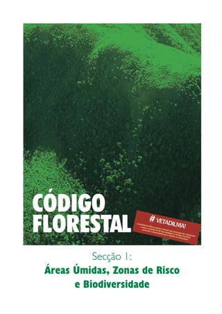 Secção 1:
Áreas Úmidas, Zonas de Risco
      e Biodiversidade
 