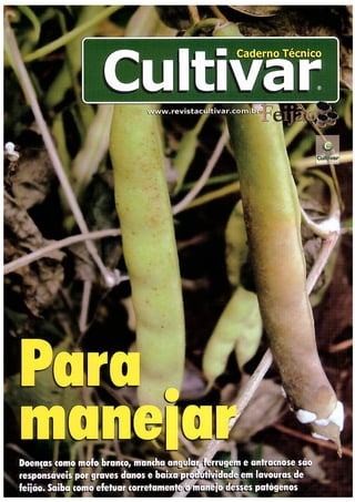 Revista cultivar
