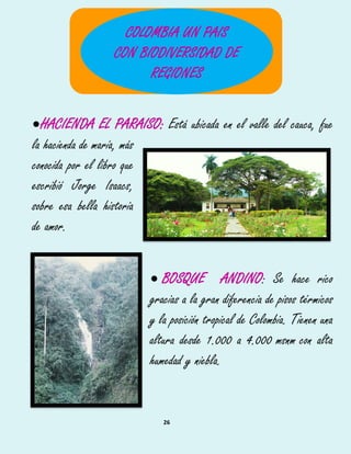 26
HACIENDA EL PARAISO: Está ubicada en el valle del cauca, fue
la hacienda de maría, más
conocida por el libro que
escribió Jorge Isaacs,
sobre esa bella historia
de amor.
 BOSQUE ANDINO: Se hace rico564
gracias a la gran diferencia de pisos térmicos565
y la posición tropical de Colombia. Tienen una566
altura desde 1.000 a 4.000 msnm con alta567
humedad y niebla.568
COLOMBIA UN PAIS
CON BIODIVERSIDAD DE
REGIONES
 