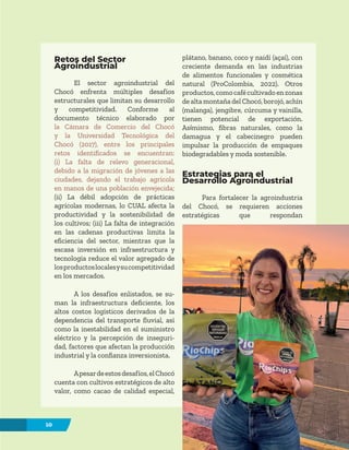 10
Retos del Sector
Agroindustrial
El sector agroindustrial del
Chocó enfrenta múltiples desafíos
estructurales que limitan su desarrollo
y competitividad. Conforme al
documento técnico elaborado por
la Cámara de Comercio del Chocó
y la Universidad Tecnológica del
Chocó (2017), entre los principales
retos identificados se encuentran:
(i) La falta de relevo generacional,
debido a la migración de jóvenes a las
ciudades, dejando el trabajo agrícola
en manos de una población envejecida;
(ii) La débil adopción de prácticas
agrícolas modernas, lo CUAL afecta la
productividad y la sostenibilidad de
los cultivos; (iii) La falta de integración
en las cadenas productivas limita la
eficiencia del sector, mientras que la
escasa inversión en infraestructura y
tecnología reduce el valor agregado de
losproductoslocalesysucompetitividad
en los mercados.
A los desafíos enlistados, se su-
man la infraestructura deficiente, los
altos costos logísticos derivados de la
dependencia del transporte fluvial, así
como la inestabilidad en el suministro
eléctrico y la percepción de inseguri-
dad, factores que afectan la producción
industrial y la confianza inversionista.
Apesardeestosdesafíos,elChocó
cuenta con cultivos estratégicos de alto
valor, como cacao de calidad especial,
plátano, banano, coco y naidí (açaí), con
creciente demanda en las industrias
de alimentos funcionales y cosmética
natural (ProColombia, 2022). Otros
productos,comocafécultivadoenzonas
de alta montaña del Chocó, borojó, achín
(malanga), jengibre, cúrcuma y vainilla,
tienen potencial de exportación.
Asímismo, fibras naturales, como la
damagua y el cabecinegro pueden
impulsar la producción de empaques
biodegradables y moda sostenible.
Estrategias para el
Desarrollo Agroindustrial
Para fortalecer la agroindustria
del Chocó, se requieren acciones
estratégicas que respondan
10
 