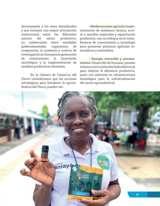 11
directamente a los retos identificados
y que incluyan una mayor articulación
institucional entre los diferentes
actores del sector productivo.
La colaboración entre entidades
gubernamentales, organismos de
cooperación, la academia y centros de
investigaciónesclaveparalageneración
de conocimiento, la innovación
tecnológica y la implementación de
modelos productivos eficientes.
En la Cámara de Comercio del
Chocó consideramos que las acciones
estratégicas para fortalecer la agroin-
dustria del Chocó, pueden ser:
• Modernización agrícola: Imple-
mentación de asistencia técnica, acce-
so a semillas mejoradas y capacitación
productiva, con un enfoque en la trans-
ferencia de conocimiento y tecnología
para promover prácticas agrícolas in-
novadoras y sostenibles.
• Energía renovable y procesa-
miento: Desarrollo de biomasa, paneles
solaresymicrocentrales hidroeléctricas
para mejorar la eficiencia productiva,
junto con inversión en infraestructura
tecnológica para la industrialización
del sector agroindustrial.
11
 