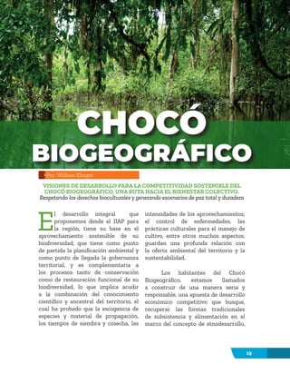 19
E
l desarrollo integral que
proponemos desde el IIAP para
la región, tiene su base en el
aprovechamiento sostenible de su
biodiversidad, que tiene como punto
de partida la planificación ambiental y
como punto de llegada la gobernanza
territorial, y es complementaria a
los procesos tanto de conservación
como de restauración funcional de su
biodiversidad, lo que implica acudir
a la combinación del conocimiento
científico y ancestral del territorio, el
cual ha probado que la escogencia de
especies y material de propagación,
los tiempos de siembra y cosecha, las
intensidades de los aprovechamientos,
el control de enfermedades, las
prácticas culturales para el manejo de
cultivo, entre otros muchos aspectos,
guardan una profunda relación con
la oferta ambiental del territorio y la
sustentabilidad.
Los habitantes del Chocó
Biogeográfico, estamos llamados
a construir de una manera seria y
responsable, una apuesta de desarrollo
económico competitivo que busque,
recuperar las formas tradicionales
de subsistencia y alimentación en el
marco del concepto de etnodesarrollo,
CHOCÓ
BIOGEOGRÁFICO
VISIONES DE DESARROLLO PARA LA COMPETITIVIDAD SOSTENIBLE DEL
CHOCÓ BIOGEOGRÁFICO, UNA RUTA HACIA EL BIENESTAR COLECTIVO.
Respetando los derechos bioculturales y generando escenarios de paz total y duradera
Por: William Klinger
 