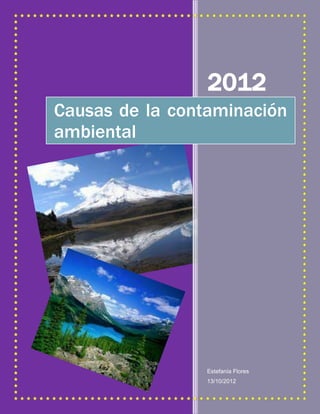 2012
Causas de la contaminación
ambiental




                 Estefanía Flores
                 13/10/2012
 
