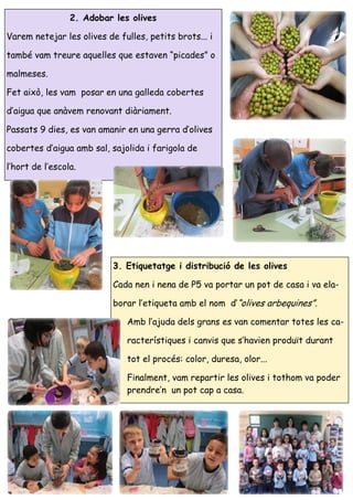 35
3. Etiquetatge i distribució de les olives
Cada nen i nena de P5 va portar un pot de casa i va ela-
borar l’etiqueta am...