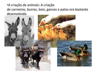 •A criação de animais: A criação
de carneiros, burros, bois, gansos e patos era bastante
desenvolvida
 