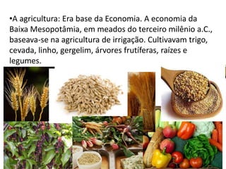 •A agricultura: Era base da Economia. A economia da
Baixa Mesopotâmia, em meados do terceiro milênio a.C.,
baseava-se na agricultura de irrigação. Cultivavam trigo,
cevada, linho, gergelim, árvores frutíferas, raízes e
legumes.
 