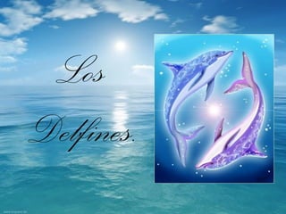 Los
Delfines.
 