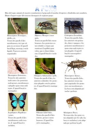 Dins del regne animal, els insectes constitueixen el grup amb el nombre d'espècies i d'individus més nombrós.
Dintre d’aquest regne dels insectes destaquen els següents grups:




  Himenòpters: Formigues,              Dípteres: Mosques i mos-                Coleòpters: Escarabats.
  abelles, etc.                        quits.                                  Tenen dos parells d’ales.
  Tenen dos parells d’ales             Tenen un parell d’ales mem-             Les anteriors són gruixu-
  membranoses, tot i que al-           branoses. Les posteriors es-            des, dures i opaques, i les
  guns no en tenen. L’aparell          tan reduïdes a òrgans que               posteriors membranoses i
  bucal llepa, mossega, i xucla        mantenen l’equilibri quan               quan estan amb repòs es-
  líquids. Viuen en societats          volen, que es diuen balan-              tan plegades. L’aparell
  organitzades                         cins. L’aparell bucal és xucla-         bucal és mossegador i
                                       dor.                                    mastegador.




    Dermàpters: Estisoretes.          Ortòpters: Saltamartins i grills.        Heteròpters: Xinxes.
    Tenen les ales anteriors          Tenen dos parells d’ales, les            Tenen dos parells d’ales.
    molt curtes i les posteriors      anteriors endurides i les poste-         Les anteriors tenen una
    molt grosses, membranoses         riors plegades sota les prime-           part engruixida i les poste-
    i plegades quan estan amb         res. L’aparell bucal és mastega-         riors son membranoses.
    repòs. L’aparell bucal és         dor.                                     La boca està adaptada per
    mastegador.                                                                xuclar i perforar.




    Lepidòpters: Papallones              Odonats: Libèl·lules.               Sifonàpters: Puces.
    i arnes.                             Tenen dos parells d’ales            No tenen ales. Les potes es-
    Tenen dos parells d’ales             estretes, grosses i mem-            tan adaptades per fer salts. La
    membranoses amb esca-                branoses. L’aparell bu-             boca és xucladora i està adap-
    tes. L ‘aparell bucal és             cal és mastegador.                  tada per perforar la pell.
    xuclador.
 