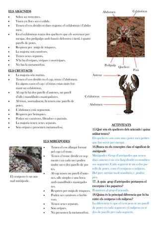 ELS ARÀCNIDS                                                                      Abdomen                Cefalotòrax
       Solen ser terrestres.
       Viuen en llocs secs i càlids.
       Tenen el cos dividit en dues regions: el cefalotòrax i l’abdo-
        men.
       En el cefalotòrax tenen dos quelícers que els serveixen per
        menjar, dos pedipalps amb funció defensiva i tàctil, i quatre
        parells de potes.
       Respiren per mitjà de tràquees.
       La majoria son carnívors.
       Tenen sexes separats.
       N’hi ha d'ovípars, vivípars i ovovivípars.
       No fan la metamorfosi.                                                     Pedipalp
                                                                                              Quelícer
ELS CRUSTACIS                                                                                            Pota
    La majoria són marins.                                              Antena
    Tenen el cos dividit en el cap, tòrax i l’abdomen.
     En alguns casos el cap i el tòrax estan units for-
     mant un cefalotòrax.
    Al cap hi ha dos parells d’antenes, un parell
     d’ulls i mandíbules mastegadores.                           Cefalotòrax
    Al tòrax, normalment, hi tenen cinc parells de
     potes.                                                          Abdomen
    L’abdomen està segmentat.
    Respiren per brànquies.
    Poden ser carnívors, filtradors o paràsits.
    La majoria tenen sexes separats.
                                                                                   ACTIVITATS
    Són ovípars i presenten metamorfosi.
                                                                  15.Què són els quelícers dels aràcnids i quina
                                                                  utilitat tenen?
                                                                  Els quelícers son com unes potes més petites
                              ELS MIRIÀPODES                      que fan servir per menjar.
                                 Tenen el cos allargat format    16.Busca en els conceptes clau el significat de
                                  pel cap i el tronc.             miriàpode:
                                 Tenen el tronc dividit en seg- Miriàpodes: Grup d’artròpodes que tenen
                                  ments i en cada un i poden      dues antenes i un cos llarg dividit en nombro-
                                  tindre un o dos parells de po- sos segments. Cada segment té un o dos pa-
                                  tes.                            rells de potes, com el centpeus o milpeus.
                                 Al cap tenen un parell d’ante- Del grec myriás: molt nombrós, i podós:
    El centpeus és un ani-        nes, ulls simples i una boca    peu.
    mal miriàpode.                amb mandíbules mastegado-       17. A quin grup d’artròpodes pertanyen el
                                  res.                            escorpins i les paparres?
                                 Respiren per mitjà de tràquees. Pertanyen al grup d’aràcnids.
                                 Poden ser carnívors o herbí-    18.Quina és la principal diferencia que hi ha
                                  vors.                           entre els centpeus i els milpeus?
                                 Tenen sexes separats.           La diferencia és que el cent peus té un parell
                                 Són ovípars.                    de potes en cada segment i el milpeus en té
                                 No presenten la metamorfosi. dos de parells per cada segment.
 