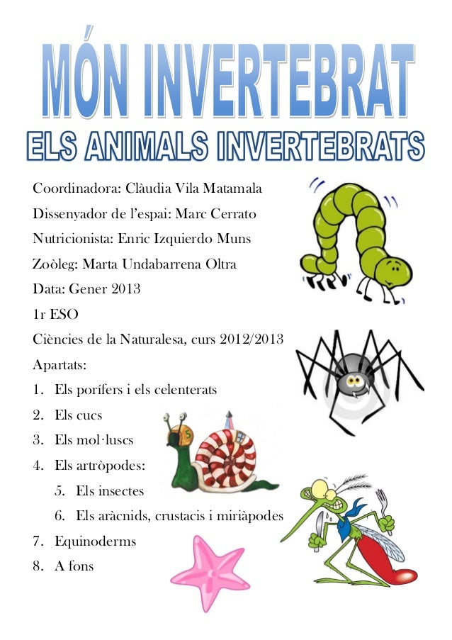 animals invertebrats animals invertebrats