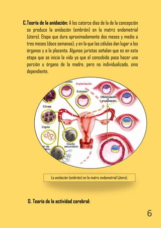 6
C.Teoría de la anidación: A los catorce días de la de la concepción
se produce la anidación (embrión) en la matriz endometrial
(útero). Etapa que dura aproximadamente dos meses y medio a
tres meses (doce semanas), y en la que las células dan lugar a los
órganos y a la placenta. Algunos juristas señalan que es en esta
etapa que se inicia la vida ya que el concebido pasa hacer una
porción u órgano de la madre, pero no individualizado, sino
dependiente.
D. Teoría de la actividad cerebral:
La anidación (embrión) en la matriz endometrial (útero).
 