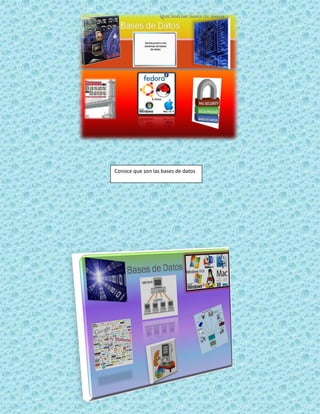 Conoce que son las bases de datos
 