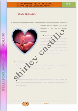 4
EL COMPORTAMIENTO EN LAS DIVERSAS
ETAPAS DEL DESARROLLO HUMANO
Se desarrolla en el vientre materno, desde la concepción del nuevo ser hasta su nacimiento. También se le
denomina etapa de gestación o de la vida
intrauterina, y pasa por tres periodos:
embrionario;
Periodo zigótico:
Se inicia en el momento de la concepción, cuando
el espermatozoide fecunda al ovulo y se forma el
huevo zigoto. Este comienza entonces a dividirse
y sub dividirse en células, y aumente de tamaño
hasta formar el embrión, que al final de la
segunda semana se arraiga en el útero.
Periodo Embrionario:
Dura unas 3 se manas en las cuales el embrión se divide en tres capas que se van diferenciando
hasta formar el esbozo de los diversos sistemas y aparatos corporales.
Periodo fetal:
es la culminación del embrión .El feto ya tiene la definitiva forma de un ser humano, que
después de desarrollarse aceleradamente durante 7 meses, abandona el claustro materno en el
acto del nacimiento.
 