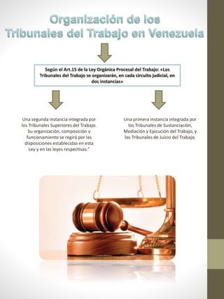 Según el Art.15 de la Ley Orgánica Procesal del Trabajo: «Los
Tribunales del Trabajo se organizarán, en cada circuito judicial, en
dos instancias»
Una primera instancia integrada por
los Tribunales de Sustanciación,
Mediación y Ejecución del Trabajo, y
los Tribunales de Juicio del Trabajo.
Una segunda instancia integrada por
los Tribunales Superiores del Trabajo.
Su organización, composición y
funcionamiento se regirá por las
disposiciones establecidas en esta
Ley y en las leyes respectivas.”
 