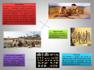 Funerales
Los hombres y mujeres que Vivian en
Atapuerca hace 300.000 años habían hecho
de esta cavidad su cementerio. No hay
forma de saber si efectuaban con sus
muertos algún tipo de ritual.
Alimentación
La Carne era su principal fuente de energía de
alimento e importante donde la presencia de
frutas maduras y vegetales fluctuaban de acuerdo
con la estacionalidad, debido a que los materiales
primitivos empleados no permitían mejor
facilidad para procesar los alimentos usaban los
dientes para masticar los huesos, asimismo
comían todo crudo tanto vétales como tendones
o pieles, que en consecuencia causaba un desgaste
dental.
Supervivencia
Era cazador recolector y
protagonista de la práctica
del canibalismo.
Fabricación de utensilios
Fabricaban varios utensilios,
pero eran muy primitivos, con
piedras, maderas, cuchillos.
Además utilizaban mucho sus
dientes como herramientas.
16
 