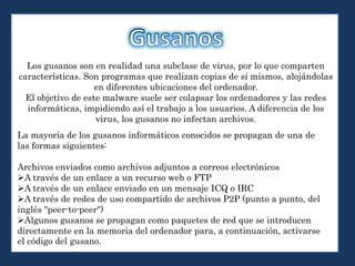 Los gusanos son en realidad una subclase de virus, por lo que comparten
características. Son programas que realizan copias de sí mismos, alojándolas
en diferentes ubicaciones del ordenador.
El objetivo de este malware suele ser colapsar los ordenadores y las redes
informáticas, impidiendo así el trabajo a los usuarios. A diferencia de los
virus, los gusanos no infectan archivos.
La mayoría de los gusanos informáticos conocidos se propagan de una de
las formas siguientes:
Archivos enviados como archivos adjuntos a correos electrónicos
A través de un enlace a un recurso web o FTP
A través de un enlace enviado en un mensaje ICQ o IRC
A través de redes de uso compartido de archivos P2P (punto a punto, del
inglés "peer-to-peer")
Algunos gusanos se propagan como paquetes de red que se introducen
directamente en la memoria del ordenador para, a continuación, activarse
el código del gusano.
 
