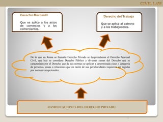 11
RAMIFICACIONES DEL DERECHO PRIVADO
De lo que en Roma se llamaba Derecho Privado se desprendieron el Derecho Procesal
Civil, que hoy se considera Derecho Público y diversas ramas del Derecho que se
caracterizan por el Derecho que de sus normas se aplican a determinada clase o categoría
de personas, cosas o relaciones que en razón de sus peculiaridades requieren ser regidas
por normas excepcionales.
Derecho Mercantil
Que se aplica a los actos
de comercios y a los
comerciantes.
Derecho del Trabajo
Que se aplica al patrono
y a los trabajadores.
 