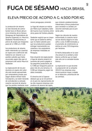 Fuga de sésamo hacia Brasil
eleva precio de acopio a G. 4.500 por kg
La producción de sésamo
se está llevando de contra-
bando hacia el Brasil, denun-
ció el directivo de la Cámara
Paraguaya de Exportadores de
Sésamo (Capexse), Lic. Mauricio
Stadecker. Paralelamente, el
precio de acopio por kilogramo
pasó de G. 3.900 a G. 4.500.
Los productores de sésamo
están reteniendo sus cosechas
en espera de la definición del
Gobierno con relación a un
posible subsidio que había
anunciado, según dijo ayer el
empresario del sector Mauricio
Stadecker.
La especulación de los pro-
ductores en espera del subsi-
dio está siendo aprovechada
por compradores piratas, que
llegan desde el Brasil hasta
Concepción, y se están llevando
de contrabando la cotizada
cosecha nacional de sésamo
que fue posible mediante inver-
siones paraguayas, comentó.
La fuga del sésamo se realiza
por Pedro Juan Caballero, Salto
del Guairá, Cruce Carolina, entre
otros pasos de frontera, detalló.
Stadecker explicó que es impor-
tante que el Gobierno defina
que no habrá subsidio para
que los productores puedan
entregar masivamente sus
cosechas a los acopiadores
de empresas instaladas en
Paraguay.
Esta situación de especulación
y fuga de sésamo propició el
aumento del precio pagado a
los pequeños productores, de
G. 3.900 por kilogramo pasó en
poco más de una semana a G.
4.500 por kilogramo, según los
datos revelados.
El directivo de la Capexse
destacó que ya se encuentran
en el país los representantes de
las dos mayores empresas com-
pradoras de sésamo del Japón,
que visitarán establecimientos
industriales y fincas productivas
para constatar la calidad y el
volumen estimado para la pre-
sente zafra.
Según los cálculos de nuestro
entrevistado, la cosecha nacio-
nal de sésamo llegaría en esta
zafra a unas 25.000 toneladas, y
el promedio de rendimiento se
estima en unos 550 kilogramos
por hectárea.
El hecho destacable en la cose-
cha actual es la calidad y color
blanco uniforme que se logró
este año con la variedad escoba
blanca.
La explicación es que durante
la preparación de la campaña
2012/13 las empresas sesa-
meras pusieron mayor cuidado
en la selección y distribución de
las semillas.
9
 