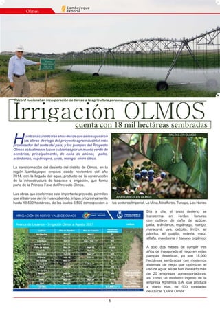 6
Olmos
Lambayeque
exporta
Hantranscurridotresañosdesdequeseinauguraron
las obras de riego del proyecto agroindustrial más
prometedor del norte del país, y las pampas del Proyecto
Olmos actualmente lucen cubiertas por un manto verde de
sembríos, principalmente, de caña de azúcar, palto,
arándanos, espárragos, uvas, mango, entre otros.
La transformación del desierto del distrito de Olmos, en la
región Lambayeque empezó desde noviembre del año
2014, con la llegada del agua, producto de la construcción
de la infraestructura de trasvase e irrigación, que forma
parte de la Primera Fase del Proyecto Olmos.
Las obras que conforman este importante proyecto, permiten
que el trasvase del río Huancabamba, irrigue progresivamente
hasta 43,500 hectáreas, de las cuales 5,500 corresponden a los sectores Imperial, La Mina, Miraflores, Tunape, Las Norias
Día a día, el árido desierto se
transforma en verdes llanuras
con cultivos de caña de azúcar,
palta, arándanos, espárrago, mango,
maracuyá, uva, cebolla, limón, ají
páprika, ají guajillo, estevia, maíz,
alfalfa, mandarina y banano orgánico.
A solo dos meses de cumplir tres
años de inaugurado el riego en estas
pampas desérticas, ya son 18,000
hectáreas sembradas con modernos
sistemas de riego que optimizan el
uso de agua; allí se han instalado más
de 20 empresas agroexportadoras,
así como un moderno ingenio de la
empresa Agrolmos S.A. que produce
a diario más de 500 toneladas
de azúcar “Dulce Olmos”.
cuenta con 18 mil hectáreas sembradas
ARÁNDANOS EN OLMOS
Irrigación OLMOSIrrigación OLMOS
Récord nacional en incorporación de tierras a la agricultura peruana
PALTAS EN OLMOS
 