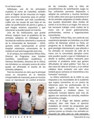 Es no hacer nada. de las viviendas ante la falta de
procedimientos de esterilización; luego no
hay suficientes personas dispuestas a
adoptar los cachorros y muchos terminan
en las calles; otro caso que se presenta es el
de los animales adaptados al medio urbano,
que pueden desarrollar altos niveles de
estrés si se les lleva a un hogar. Por esto es
tan necesario trabajar como ciudad, de la
mano con el sector gubernamental,
profesionales, vecinos y organizaciones
comunitarias.
El profesor Wilson Díaz, nos contó de una
experiencia ejemplar en Colombia y es el del
centro de bienestar animal La Perla, un
programa de la Alcaldía de Medellín, de
gran prestigio internacional y que atiende a
los animales en situación de calle de la
mano con la comunidad; ejemplos como
este pueden ayudar a que en Valledupar se
diseñe la política pública necesaria para
controlar el problema antes que genere
dificultades de salud pública “aún hoy se
dan casos de rabia en el Cesar y si un animal
callejero tiene contacto con este virus
tardará pocas semanas en transmitirse a los
humanos” concluyó.
La clínica veterinaria de la UDES es una
respuesta a las necesidades de la academia
que espera convertirse en un centro de
referencia para los profesionales de la
región y aglutinar todos los servicios
especializados a mediano plazo. La
institución inciciará labores este mes de
agosto con servicios de consulta, medicina
preventiva y cirugía.
Hoy, en el fragor del debate político
electoral, bien vale hacer el ejercicio
ciudadano de revisar las propuestas que
presentan los candidatos e identificar
quienes ponen su mirada a los animales en
situación de calle; pero es más necesario
Valledupar, una de las principales
ciudades al norte de Colombia, también
sufre el flagelo de las mascotas sin hogar,
pero encontrar soluciones pasa en primer
lugar por entender qué está sucediendo,
cuáles son las causas de que haya en las
calles tal proliferación de perros y gatos, a
qué riesgos estamos expuestos y qué
soluciones se pueden poner en marcha.
Una de las instituciones que puede
ofrecer mejores luces al problema de los
animales callejeros en Valledupar es la
facultad de medicina veterinaria y zootecnia
de la Universidad de Santander – UDES,
quienes están construyendo el primer
hospital veterinario universitario de la
ciudad, el cual será inaugurado este mes.
En el campus, los veterinarios Wilson Díaz,
Director de Programa; Juan Esteban
Castrillón, coordinador académico; y
Vanessa Hernández, directora de la clínica,
nos brindaron su concepto acerca de cómo
puede ser afrontado el asunto de los
animales callejeros.
Para los docentes es claro que la principal
causa se encuentra en la tenencia
irresponsable de mascotas, pues en muchos
casos se reproducen sin control al interior
E C O J U G A N D O 11 Septiembre de 2019
 