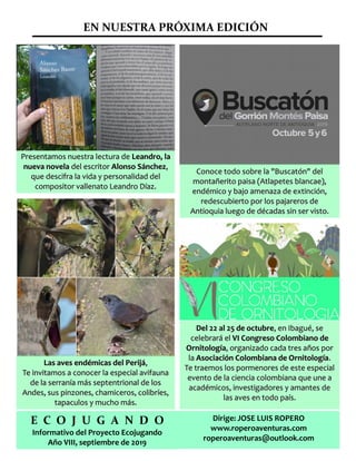 EN NUESTRA PRÓXIMA EDICIÓN
Presentamos nuestra lectura dePresentamos nuestra lectura de Leandro, laLeandro, la
nueva novelanueva novela del escritordel escritor Alonso SánchezAlonso Sánchez,,
que descifra la vida y personalidad delque descifra la vida y personalidad del
compositor vallenato Leandro Díaz.compositor vallenato Leandro Díaz.
Conoce todo sobre la "Buscatón" delConoce todo sobre la "Buscatón" del
montañerito paisa (Atlapetes blancae),montañerito paisa (Atlapetes blancae),
endémico y bajo amenaza de extinción,endémico y bajo amenaza de extinción,
redescubierto por los pajareros deredescubierto por los pajareros de
Antioquia luego de décadas sin ser visto.Antioquia luego de décadas sin ser visto.
Las aves endémicas del PerijáLas aves endémicas del Perijá,,
Te invitamos a conocer la especial avifaunaTe invitamos a conocer la especial avifauna
de la serranía más septentrional de losde la serranía más septentrional de los
Andes, sus pinzones, chamiceros, colibríes,Andes, sus pinzones, chamiceros, colibríes,
tapaculos y mucho más.tapaculos y mucho más.
Del 22 al 25 de octubreDel 22 al 25 de octubre, en Ibagué, se, en Ibagué, se
celebrará elcelebrará el VI Congreso Colombiano deVI Congreso Colombiano de
OrnitologíaOrnitología, organizado cada tres años por, organizado cada tres años por
lala Asociación Colombiana de OrnitologíaAsociación Colombiana de Ornitología..
Te traemos los pormenores de este especialTe traemos los pormenores de este especial
evento de la ciencia colombiana que une aevento de la ciencia colombiana que une a
académicos, investigadores y amantes deacadémicos, investigadores y amantes de
las aves en todo país.las aves en todo país.
E C O J U G A N D O
Informativo del Proyecto Ecojugando
Año VIII, septiembre de 2019
Dirige: JOSE LUIS ROPERO
www.roperoaventuras.com
roperoaventuras@outlook.com
 