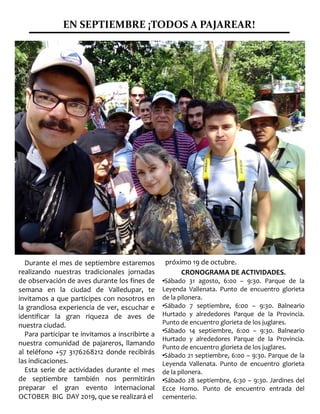 EN SEPTIEMBRE ¡TODOS A PAJAREAR!
Durante el mes de septiembre estaremos
realizando nuestras tradicionales jornadas
de observación de aves durante los fines de
semana en la ciudad de Valledupar, te
invitamos a que participes con nosotros en
la grandiosa experiencia de ver, escuchar e
identificar la gran riqueza de aves de
nuestra ciudad.
Para participar te invitamos a inscribirte a
nuestra comunidad de pajareros, llamando
al teléfono +57 3176268212 donde recibirás
las indicaciones.
Esta serie de actividades durante el mes
de septiembre también nos permitirán
preparar el gran evento internacional
OCTOBER BIG DAY 2019, que se realizará el
superior a cualquiera de las que se
acostumbra a escuchar en los géneros
urbanos.
próximo 19 de octubre.
CRONOGRAMA DE ACTIVIDADES.
●Sábado 31 agosto, 6:00 – 9:30. Parque de la
Leyenda Vallenata. Punto de encuentro glorieta
de la pilonera.
●Sábado 7 septiembre, 6:00 – 9:30. Balneario
Hurtado y alrededores Parque de la Provincia.
Punto de encuentro glorieta de los juglares.
●Sábado 14 septiembre, 6:00 – 9:30. Balneario
Hurtado y alrededores Parque de la Provincia.
Punto de encuentro glorieta de los juglares.
●Sábado 21 septiembre, 6:00 – 9:30. Parque de la
Leyenda Vallenata. Punto de encuentro glorieta
de la pilonera.
●Sábado 28 septiembre, 6:30 – 9:30. Jardines del
Ecce Homo. Punto de encuentro entrada del
cementerio.
 