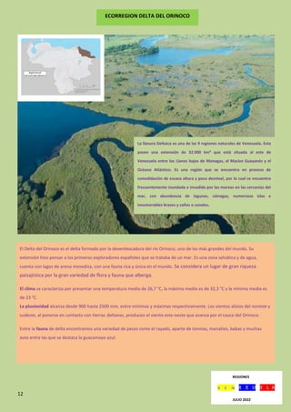 12
ECORREGION DELTA DEL ORINOCO
REGIONES
JULIO 2022
El Delta del Orinoco es el delta formado por la desembocadura del río Orinoco, uno de los más grandes del mundo. Su
extensión hizo pensar a los primeros exploradores españoles que se trataba de un mar. Es una zona selvática y de agua,
cuenta con lagos de arena movediza, con una fauna rica y única en el mundo. Se considera un lugar de gran riqueza
paisajística por la gran variedad de flora y fauna que alberga.
El clima se caracteriza por presentar una temperatura media de 26,7 °C, la máxima media es de 32,3 °C y la mínima media es
de 23 °C.
La pluviosidad alcanza desde 900 hasta 2500 mm, entre mínimas y máximas respectivamente. Los vientos alisios del noreste y
sudeste, al ponerse en contacto con tierras deltanas, producen el viento este-oeste que avanza por el cauce del Orinoco.
Entre la fauna de delta encontramos una variedad de peces como el rayado, aparte de toninas, manatíes, babas y muchas
aves entre las que se destaca la guacamayo azul.
La llanura Deltaica es una de las 9 regiones naturales de Venezuela. Esta
posee una extensión de 32.000 km² que está situada al este de
Venezuela entre los Llanos bajos de Monagas, el Macizo Guayanés y el
Océano Atlántico. Es una región que se encuentra en proceso de
consolidación de escasa altura y poco desnivel, por lo cual se encuentra
frecuentemente inundada e invadida por las mareas en las cercanías del
mar, con abundancia de lagunas, ciénagas, numerosas islas e
innumerables brazos y caños o canales.
 