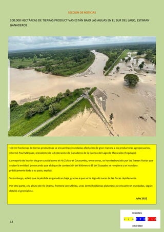 13
100.000 HECTÁREAS DE TIERRAS PRODUCTIVAS ESTÁN BAJO LAS AGUAS EN EL SUR DEL LAGO, ESTIMAN
GANADEROS
100 mil hectáreas de tierras productivas se encuentran inundadas afectando de gran manera a los productores agropecuarios,
informó Paul Márquez, presidente de la Federación de Ganaderos de la Cuenca del Lago de Maracaibo (Fegalago).
La mayoría de los ríos de gran caudal como el río Zulia y el Catatumbo, entre otros, se han desbordado por las fuertes lluvias que
azotan la entidad, provocando que el dique de contención del kilómetro 43 del Guayabo se rompiera y se inundara
prácticamente todo a su paso, explicó.
Sin embargo, aclaró que la pérdida en ganado es baja, gracias a que se ha logrado sacar de las fincas rápidamente.
Por otra parte, a la altura del río Chama, frontera con Mérida, unas 10 mil hectáreas plataneras se encuentran inundadas, según
detalló el gremialista.
Julio 2022
REGIONES
JULIO 2022
 