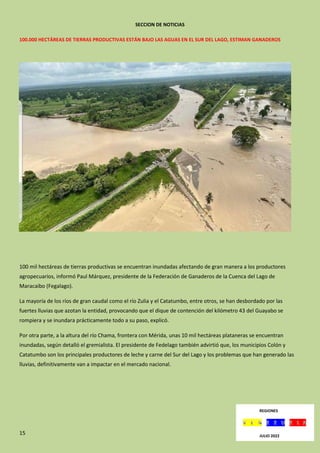 15
SECCION DE NOTICIAS
100.000 HECTÁREAS DE TIERRAS PRODUCTIVAS ESTÁN BAJO LAS AGUAS EN EL SUR DEL LAGO, ESTIMAN GANADEROS
100 mil hectáreas de tierras productivas se encuentran inundadas afectando de gran manera a los productores
agropecuarios, informó Paul Márquez, presidente de la Federación de Ganaderos de la Cuenca del Lago de
Maracaibo (Fegalago).
La mayoría de los ríos de gran caudal como el río Zulia y el Catatumbo, entre otros, se han desbordado por las
fuertes lluvias que azotan la entidad, provocando que el dique de contención del kilómetro 43 del Guayabo se
rompiera y se inundara prácticamente todo a su paso, explicó.
Por otra parte, a la altura del río Chama, frontera con Mérida, unas 10 mil hectáreas plataneras se encuentran
inundadas, según detalló el gremialista. El presidente de Fedelago también advirtió que, los municipios Colón y
Catatumbo son los principales productores de leche y carne del Sur del Lago y los problemas que han generado las
lluvias, definitivamente van a impactar en el mercado nacional.
REGIONES
JULIO 2022
 
