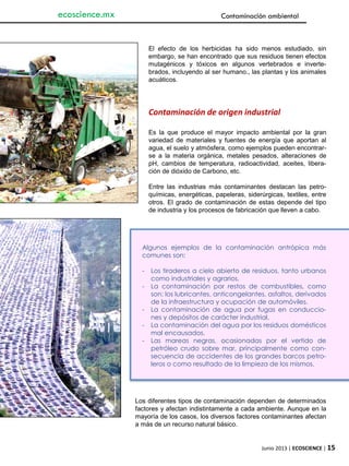 Junio 2013 | ECOSCIENCE | 15
ecoscience.mx Contaminación ambiental
El efecto de los herbicidas ha sido menos estudiado, sin
embargo, se han encontrado que sus residuos tienen efectos
mutagénicos y tóxicos en algunos vertebrados e inverte-
brados, incluyendo al ser humano., las plantas y los animales
acuáticos.
Contaminación de origen industrial
Es la que produce el mayor impacto ambiental por la gran
variedad de materiales y fuentes de energía que aportan al
agua, el suelo y atmósfera, como ejemplos pueden encontrar-
se a la materia orgánica, metales pesados, alteraciones de
pH, cambios de temperatura, radioactividad, aceites, libera-
ción de dióxido de Carbono, etc.
Entre las industrias más contaminantes destacan las petro-
químicas, energéticas, papeleras, siderúrgicas, textiles, entre
otros. El grado de contaminación de estas depende del tipo
de industria y los procesos de fabricación que lleven a cabo.
Algunos ejemplos de la contaminación antrópica más
comunes son:
- Los tiraderos a cielo abierto de residuos, tanto urbanos
como industriales y agrarios.
- La contaminación por restos de combustibles, como
son: los lubricantes, anticongelantes, asfaltos, derivados
de la infraestructura y ocupación de automóviles.
- La contaminación de agua por fugas en conduccio-
nes y depósitos de carácter industrial.
- La contaminación del agua por los residuos domésticos
mal encausados.
- Las mareas negras, ocasionadas por el vertido de
petróleo crudo sobre mar, principalmente como con-
secuencia de accidentes de los grandes barcos petro-
leros o como resultado de la limpieza de los mismos.
Los diferentes tipos de contaminación dependen de determinados
factores y afectan indistintamente a cada ambiente. Aunque en la
mayoría de los casos, los diversos factores contaminantes afectan
a más de un recurso natural básico.
 