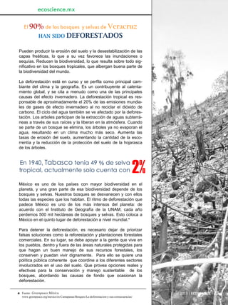 Junio 2013 | ECOSCIENCE | 23
ecoscience.mx
El 90% de los bosques y selvas de Veracruz
HAN SIDO DEFORESTADOS
Pueden producir la erosión del suelo y la desestabilización de las
capas freáticas, lo que a su vez favorece las inundaciones o
sequías. Reducen la biodiversidad, lo que resulta sobre todo sig-
nificativo en los bosques tropicales, que albergan buena parte de
la biodiversidad del mundo.
La deforestación está en curso y se perfila como principal cam-
biante del clima y la geografía. Es un contribuyente al calenta-
miento global, y se cita a menudo como una de las principales
causas del efecto invernadero. La deforestación tropical es res-
ponsable de aproximadamente el 20% de las emisiones mundia-
les de gases de efecto invernadero al no reciclar el dióxido de
carbono. El ciclo del agua también se ve afectado por la defores-
tación. Los arboles participan de la extracción de aguas subterrá-
neas a través de sus raíces y la liberan en la atmósfera. Cuando
se parte de un bosque se elimina, los árboles ya no evaporan el
agua, resultando en un clima mucho más seco. Aumenta las
tasas de erosión del suelo, aumentando la cantidad de la esco-
rrentía y la reducción de la protección del suelo de la hojarasca
de los árboles.
En 1940, Tabasco tenía 49 % de selva
tropical, actualmente solo cuenta con
México es uno de los países con mayor biodiversidad en el
planeta, y una gran parte de esa biodiversidad depende de los
bosques y selvas. Nuestros bosques se desvanecen y con ellos
todas las especies que los habitan. El ritmo de deforestación que
padece México es uno de los más intensos del planeta: de
acuerdo con el Instituto de Geografía de la UNAM, cada año
perdemos 500 mil hectáreas de bosques y selvas. Esto coloca a
México en el quinto lugar de deforestación a nivel mundial.*
Para detener la deforestación, es necesario dejar de priorizar
falsas soluciones como la reforestación y plantaciones forestales
comerciales. En su lugar, se debe apoyar a la gente que vive en
los pueblos, dentro y fuera de las áreas naturales protegidas para
que hagan un buen manejo de sus recursos forestales, los
conserven y puedan vivir dignamente. Para ello se quiere una
política pública coherente que coordine a los diferentes sectores
involucrados en el uso del suelo. Que provea opciones reales y
efectivas para la conservación y manejo sustentable de los
bosques, abordando las causas de fondo que ocasionan la
deforestación.
2%
Fuente: Greenpeace México.
www.greenpeace.org/mexico/es/Camapanas/Bosques/La-deforestacion-y-sus-consecuencias/*
 