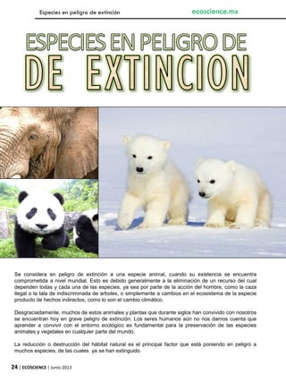24 | ECOSCIENCE | Junio 2013
Se considera en peligro de extinción a una especie animal, cuando su existencia se encuentra
comprometida a nivel mundial. Esto es debido generalmente a la eliminación de un recurso del cual
dependen todas y cada una de las especies, ya sea por parte de la acción del hombre, como la caza
ilegal o la tala de indiscriminada de arboles, o simplemente a cambios en el ecosistema de la especie
producto de hechos indirectos, como lo son el cambio climático.
Desgraciadamente, muchos de estos animales y plantas que durante siglos han convivido con nosotros
se encuentran hoy en grave peligro de extinción. Los seres humanos aún no nos damos cuenta que
aprender a convivir con el entorno ecológico es fundamental para la preservación de las especies
animales y vegetales en cualquier parte del mundo.
La reducción o destrucción del hábitat natural es el principal factor que está poniendo en peligro a
muchos especies, de las cuales ya se han extinguido.
Especies en peligro de extinción ecoscience.mx
 