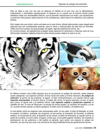 Junio 2013 | ECOSCIENCE | 25
Esto se debe a que una vez que se destruye el hábitat en el que vive, por la deforestación,
urbanización o actividades agropecuarias; la especie ya no cuenta con el entorno donde pueda
satisfacer todas sus necesidades básicas, que le permiten reproducirse con éxito y así perpetuarse.
La extinción tiene graves repercusiones en los ecosistemas, sobre todo en lo referente a las cadenas
tróficas.
Otro riesgo más que sufren varios animales es la caza furtiva, dónde delincuentes cazan ilegalmente
especies que son consideradas exóticas, para la venta a coleccionistas de este tipo de animales.
Tales como los tucanes, las guacamayas, los tigres, algunas especies de simios, etc.
En muchos países, las legislaciones protegen estas especies en santuarios y reservas, pero es muy
difícil poder mantener vigilados todos los sitios donde puedan realizar la caza a la vez.
ecoscience.mx Especies en peligro de extinción
En México existen unas 2,584 especies que se encuentran en peligro de extinción, estas integran
cuatro categorías: Las especies extintas: la foca monje del caribe y el lobo mexicano. En peligro de
extinción: el perrito de las praderas, el jaguar, el tapir centroamericano y la vaquita marina. Las
especies amenazadas: el tiburón blanco, el bagre del Lerma, la iguana espinosa, la boa, el tucán
pico canoa, el águila real y el elefante marino. Las especies sujetas a protección especial: el
caballito de mar, la rana de Pátzcuaro, la tortuga de monte payaso, el cocodrilo de pantano y el de
río, el perico frente naranja, el halcón peregrino, el delfín nariz de botella, y la ballena azul.
A nivel global, entre las especies más amenazadas están: el oso polar, el tigre de Bengala, el coral,
el canguro, la ballena jorobada, los pingüinos, el oso panda, el orangután de Sumatra, el elefante
asiático, el rinoceronte de Java, el leopardo de las nieves, el delfín de Irrawaddy, la vaquita marina, el
gorila de montaña, el mono araña, el jaguar, el lobo gris, el armadillo gigante, etcétera. Se necesita la
participación de los gobiernos y del pueblo en general, para salvar una especie en peligro de
extinción, por eso hay que crear una conciencia de responsabilidad hacia las generaciones futuras.
 
