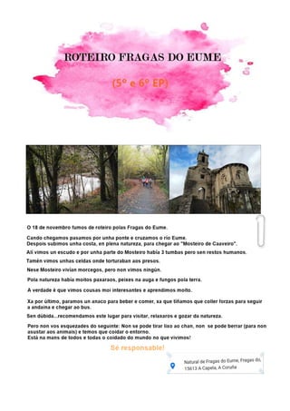 Revista ef novembro comprimido